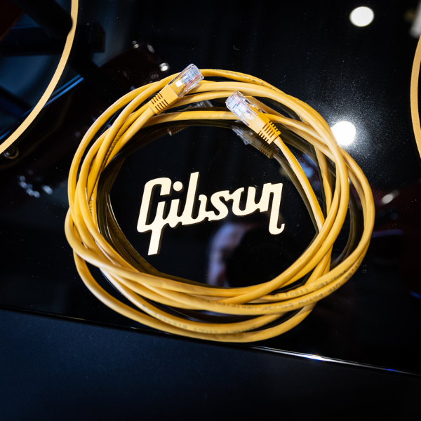 Gibson logo on guitar with cable
