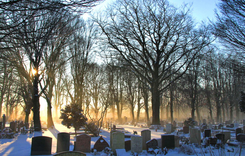 Rhijnhof begraafplaats zonsondergang